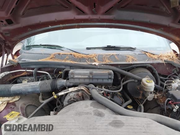 ✅ 2001 Dodge 1500 Work Special • VIN: 1B7HC16X71S234940 • Lot: 43696280. Listed on IAAI with 190,171 mi. Free auction sales archive from the USA and detailed vehicle history report at DreamBid. Image 10.