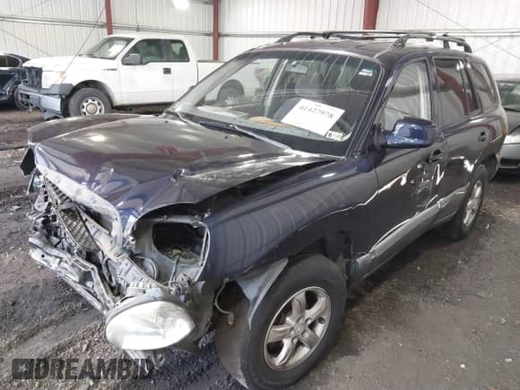 2004 Hyundai Santa Fe с VIN KM8SB12B04U632711, выставлен на аукционе IAAI как лот 41427978 с пробегом Не указан миль и . История ставок и продаж доступна на DreamBid. Изображение 17.