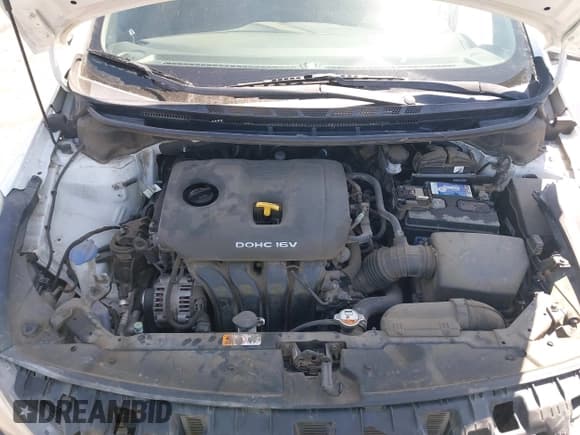 ✅ 2017 Kia Forte LX • VIN: 3KPFK4A79HE077038 • Lot: 43132045. Wystawiony na IAAI z przebiegiem 141 338 mil. Bezpłatny archiwum sprzedaży aukcyjnych z USA i szczegółowy raport historii pojazdu na DreamBid. Zdjęcie 10.