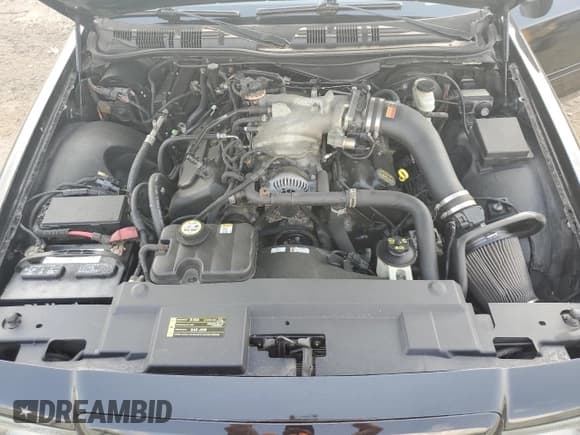 ✅ 2004 Mercury Marauder • VIN: 2MHHM79V94X638108 • Lot: 66498065. Listed on Copart with 108,718 mi. Free auction sales archive from the USA and detailed vehicle history report at DreamBid. Image 11.