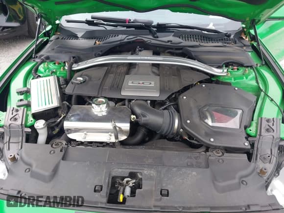 ✅ 2019 Ford Mustang GT Premium • VIN: 1FA6P8CF3K5156873 • Lot: 43633673. Wystawiony na IAAI z przebiegiem 30 947 mil. Bezpłatny archiwum sprzedaży aukcyjnych z USA i szczegółowy raport historii pojazdu na DreamBid. Zdjęcie 10.