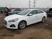 ✅ 2019 Hyundai Sonata SEL • VIN: 5NPE34AF0KH762208 • Lot: 43433963. Listed on Copart with 43,873 mi. Free auction sales archive from the USA and detailed vehicle history report at DreamBid. Image 1.