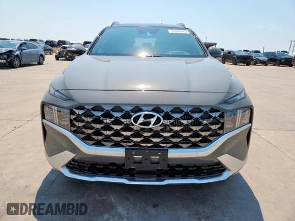 ✅ 2023 Hyundai Santa Fe Calligraphy • VIN: 5NMS54AL3PH617722 • Lot: 70292765. Listed on Copart with 43,027 mi. Free auction sales archive from the USA and detailed vehicle history report at DreamBid. Image 5.