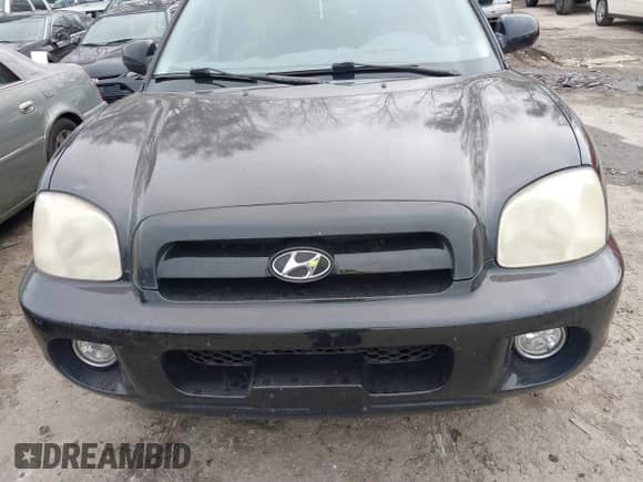 2005 Hyundai Santa Fe GLS z VIN KM8SC13D85U880624, wystawiony jako IAAI lot #41147951 z przebiegiem 171 029 mil mil oraz . Historia ofert i sprzedaży dostępna na DreamBid. Obrazek 6.