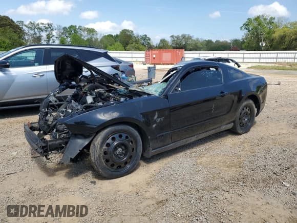 ✅ 2010 Ford Mustang GT • VIN: 1ZVBP8CH3A5179849 • Lot: 51677155. Listed on Copart with Not provided. Free auction sales archive from the USA and detailed vehicle history report at DreamBid. Image 1.