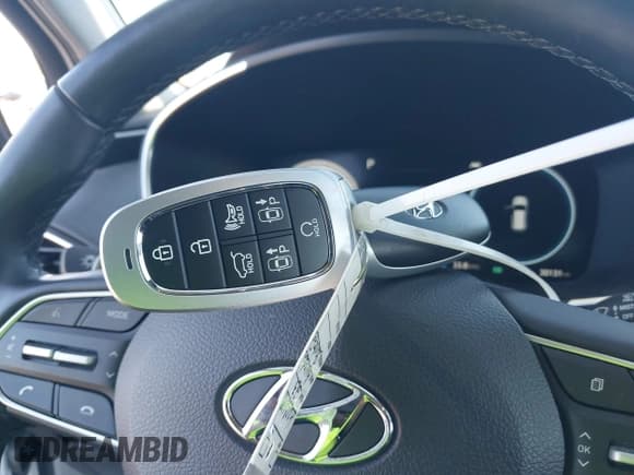 ✅ 2023 Hyundai Santa Fe Limited • VIN: 5NMS5DA17PH000984 • Lot: 43314417. Wystawiony na IAAI z przebiegiem 30 131 mil. Bezpłatny archiwum sprzedaży aukcyjnych z USA i szczegółowy raport historii pojazdu na DreamBid. Zdjęcie 11.