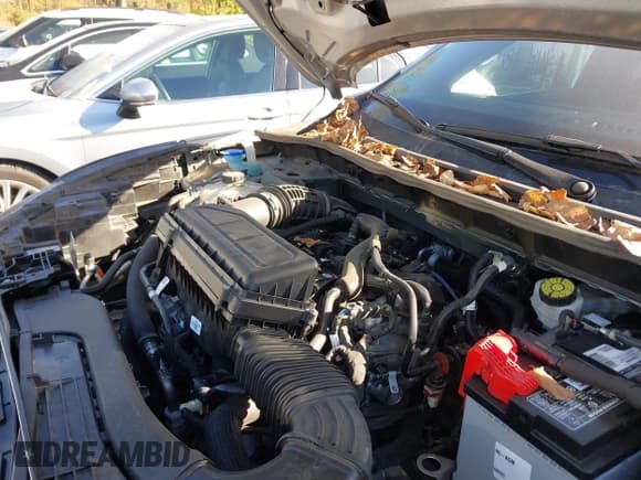 ✅ 2024 Ford Escape ST-Line • VIN: 1FMCU9MN8RUA26679 • Lot: 43486522. Wystawiony na IAAI z przebiegiem 26 490 mil. Bezpłatny archiwum sprzedaży aukcyjnych z USA i szczegółowy raport historii pojazdu na DreamBid. Zdjęcie 10.