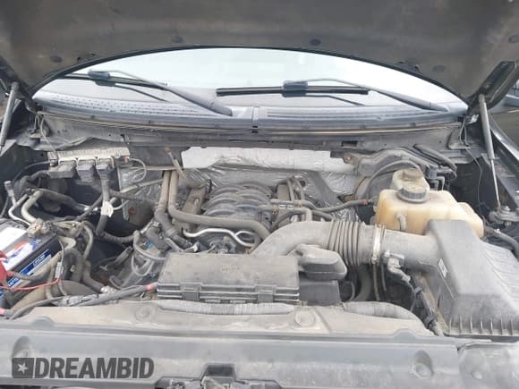 ✅ 2013 Ford F-150 XL • VIN: 1FTFW1EF9DFA23730 • Lot: 43055004. Wystawiony na IAAI z przebiegiem 233 899 mil. Bezpłatny archiwum sprzedaży aukcyjnych z USA i szczegółowy raport historii pojazdu na DreamBid. Zdjęcie 10.