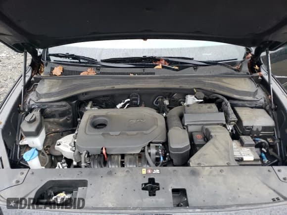 ✅ 2020 Hyundai Santa Fe SEL • VIN: 5NMS3CAD7LH160030 • Lot: 66655343. Wystawiony na Copart z przebiegiem 46 173 mil. Bezpłatny archiwum sprzedaży aukcyjnych z USA i szczegółowy raport historii pojazdu na DreamBid. Zdjęcie 12.