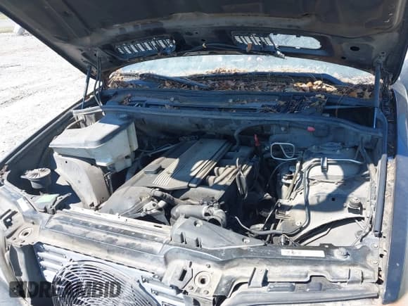 ✅ 2003 BMW X5 3.0i • VIN: 5UXFA53523LV75875 • Lot: 43317366. Listed on IAAI with Not provided. Free auction sales archive from the USA and detailed vehicle history report at DreamBid. Image 10.