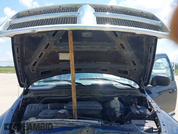 2003 Dodge 1500 ST z VIN 1D7HA18N63S175714, wystawiony jako IAAI lot #42850796 z przebiegiem 223 440 mil mil oraz . Historia ofert i sprzedaży dostępna na DreamBid. Obrazek 10.