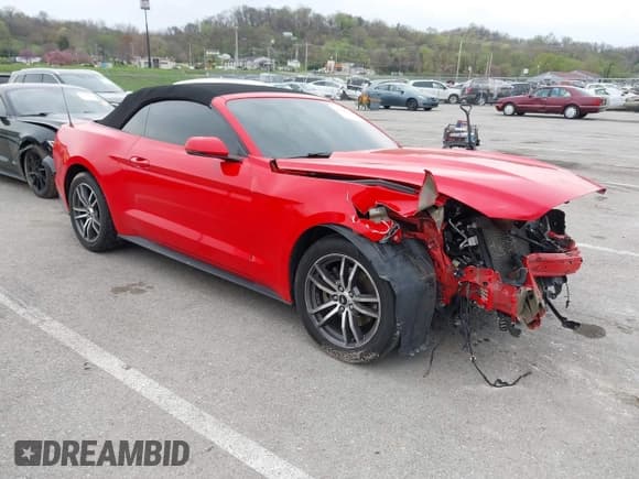 ✅ 2015 Ford Mustang EcoBoost Premium • VIN: 1FATP8UH9F5402348 • Lot: 41938583. Listed on IAAI with Not provided. Free auction sales archive from the USA and detailed vehicle history report at DreamBid. Image 1.