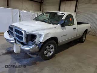 2006 Dodge 1500 SLT with VIN 1D7HA16N36J178311, listed as a Copart auction lot 48599425 with 219,678 mi miles and Salvage title. Bid and sale history available at DreamBid. Image 1.