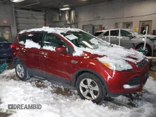 ✅ 2014 Ford Escape SE • VIN: 1FMCU0GXXEUB24583 • Lot: 43908696. Wystawiony na IAAI z przebiegiem 138 010 mil. Bezpłatny archiwum sprzedaży aukcyjnych z USA i szczegółowy raport historii pojazdu na DreamBid. Zdjęcie 1.