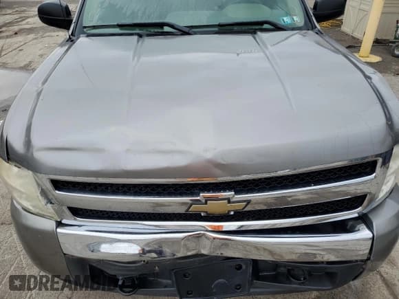 ✅ 2008 Chevrolet Silverado 1500 Work Truck • VIN: 1GCEK14X78Z287082 • Lot: 73227224. Listed on Copart with 133,923 mi. Free auction sales archive from the USA and detailed vehicle history report at DreamBid. Image 11.