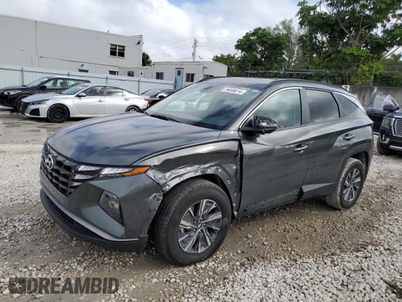 ✅ 2023 Hyundai Tucson Blue • VIN: KM8JBCA18PU084820 • Lot: 79495074. Wystawiony na Copart z przebiegiem 66 853 mil. Bezpłatny archiwum sprzedaży aukcyjnych z USA i szczegółowy raport historii pojazdu na DreamBid. Zdjęcie 1.