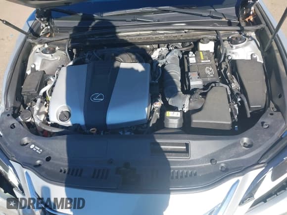 ✅ 2019 Lexus ES 350 • VIN: 58ABZ1B14KU020147 • Lot: 43459048. Wystawiony na IAAI z przebiegiem 32 339 mil. Bezpłatny archiwum sprzedaży aukcyjnych z USA i szczegółowy raport historii pojazdu na DreamBid. Zdjęcie 10.