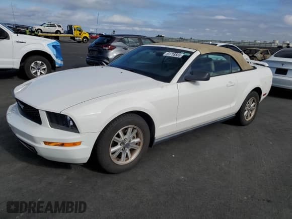 ✅ 2006 Ford Mustang Standard • VIN: 1ZVHT84N065125409 • Лот: 91718565. Опубликован ранее на Copart с пробегом 98 495 миль. Бесплатный доступ к архиву аукционных продаж из США и подробный отчёт об истории автомобиля на DreamBid. Изображение 1.