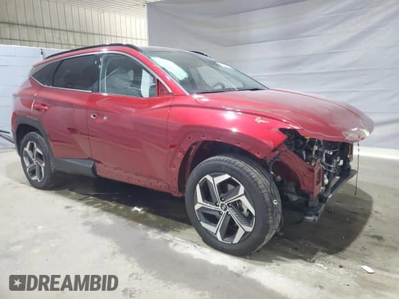 ✅ 2024 Hyundai Tucson Limited • VIN: 5NMJECDE3RH439512 • Lot: 80545435. Listed on Copart with 10,923 mi. Free auction sales archive from the USA and detailed vehicle history report at DreamBid. Image 4.