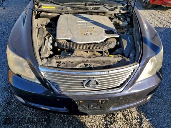 ✅ 2008 Lexus LS 460 • VIN: JTHBL46F285065643 • Лот: 96081615. Опубликован ранее на Copart с пробегом 206 998 миль. Бесплатный доступ к архиву аукционных продаж из США и подробный отчёт об истории автомобиля на DreamBid. Изображение 11.