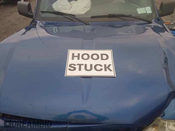 ✅ 2008 Ford Ranger XLT • VIN: 1FTZR45E88PA72964 • Lot: 43771885. Wystawiony na IAAI z przebiegiem 112 879 mil. Bezpłatny archiwum sprzedaży aukcyjnych z USA i szczegółowy raport historii pojazdu na DreamBid. Zdjęcie 10.