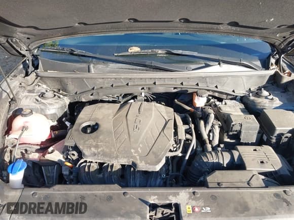 ✅ 2022 Hyundai Tucson SEL • VIN: 5NMJBCAE0NH137845 • Lot: 43319065. Listed on IAAI with 63,165 mi. Free auction sales archive from the USA and detailed vehicle history report at DreamBid. Image 10.