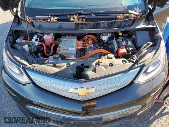 ✅ 2019 Chevrolet Bolt EV LT • VIN: 1G1FY6S08K4113332 • Lot: 79845284. Wystawiony na Copart z przebiegiem 66 794 mil. Bezpłatny archiwum sprzedaży aukcyjnych z USA i szczegółowy raport historii pojazdu na DreamBid. Zdjęcie 13.