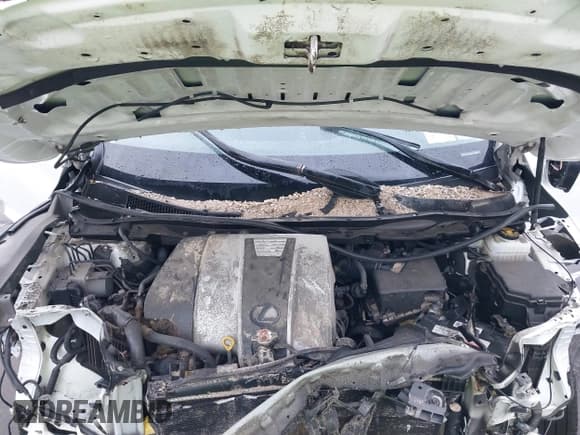 ✅ 2017 Lexus RX 350 • VIN: JTJBZMCAXH2015791 • Lot: 43642655. Wystawiony na IAAI z przebiegiem 70 671 mil. Bezpłatny archiwum sprzedaży aukcyjnych z USA i szczegółowy raport historii pojazdu na DreamBid. Zdjęcie 10.