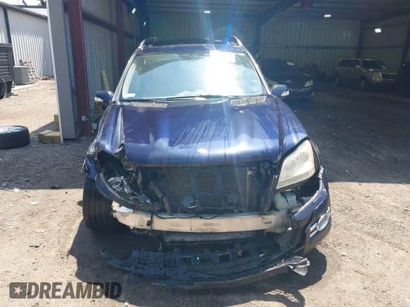 ✅ 2008 Mercedes-Benz GL 550 • VIN: 4JGBF86E58A379278 • Lot: 42765813. Wystawiony na IAAI z przebiegiem 233 606 mil. Bezpłatny archiwum sprzedaży aukcyjnych z USA i szczegółowy raport historii pojazdu na DreamBid. Zdjęcie 12.