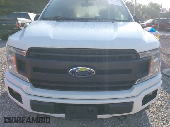 ✅ 2019 Ford F-150 XL • VIN: 1FTEW1EP7KFA11822 • Lot: 42739967. Wystawiony na IAAI z przebiegiem 181 473 mil. Bezpłatny archiwum sprzedaży aukcyjnych z USA i szczegółowy raport historii pojazdu na DreamBid. Zdjęcie 12.