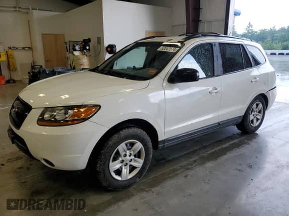 2009 Hyundai Santa Fe GLS z VIN 5NMSG73D09H260651, wystawiony jako Copart lot #62047574 z przebiegiem 169 486 mil mil oraz Szkoda całkowita • Salvage title. Historia ofert i sprzedaży dostępna na DreamBid. Obrazek 1.