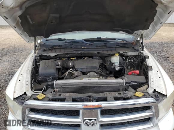 2009 Dodge 1500 SLT с VIN 1D3HB13P59S754600, выставлен на аукционе Copart как лот 65089824 с пробегом 164 960 миль миль и Чистый • Clean title. История ставок и продаж доступна на DreamBid. Изображение 11.