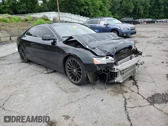 ✅ 2010 Audi A5 Premium Plus • VIN: WAULFAFR5AA004531 • Lot: 67374405. Listed on Copart with 97,751 mi. Free auction sales archive from the USA and detailed vehicle history report at DreamBid. Image 13.