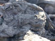 ✅ 2019 Hyundai Accent SE • VIN: 3KPC24A34KE077133 • Лот: 41619357. Опубликован ранее на IAAI с пробегом 104 956 миль. Бесплатный доступ к архиву аукционных продаж из США и подробный отчёт об истории автомобиля на DreamBid. Изображение 7.