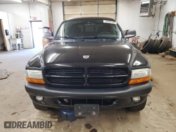 2002 Dodge Dakota Sport z VIN 1B7GG32N92S563589, wystawiony jako Copart lot #79580194 z przebiegiem 110 736 mil mil oraz Czysty tytuł • Clean title. Historia ofert i sprzedaży dostępna na DreamBid. Obrazek 5.