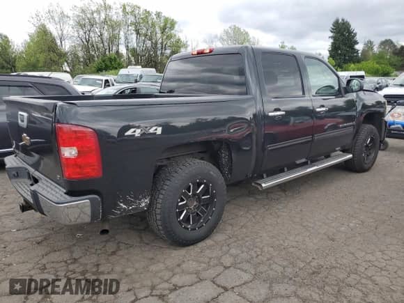 2009 Chevrolet Silverado 1500 LS z VIN 3GCEK13C69G149632, wystawiony jako Copart lot #56961485 z przebiegiem 255 409 mil mil oraz Szkoda całkowita • Salvage title. Historia ofert i sprzedaży dostępna na DreamBid. Obrazek 3.