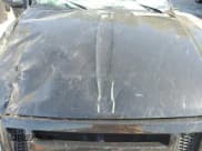 ✅ 2006 Ford Ranger STX • VIN: 1FTYR44E26PA20434 • Lot: 44458215. Listed on Copart with 117,619 mi. Free auction sales archive from the USA and detailed vehicle history report at DreamBid. Image 11.