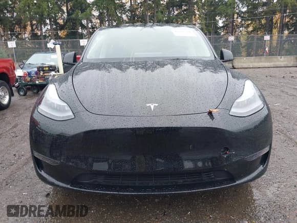 ✅ 2025 Tesla Model Y Long Range • VIN: 7SAYGDED3SF236893 • Лот: 43698211. Опубликован ранее на IAAI с пробегом 2 586 миль. Бесплатный доступ к архиву аукционных продаж из США и подробный отчёт об истории автомобиля на DreamBid. Изображение 12.