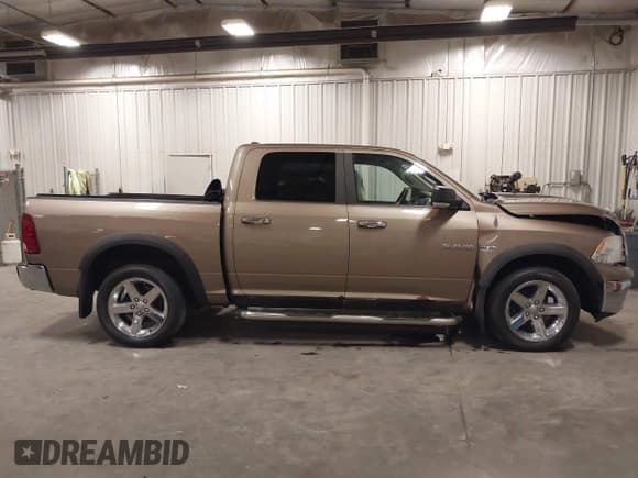 ✅ 2010 Dodge 1500 Sport • VIN: 1D7RV1CT9AS206773 • Lot: 42261722. Wystawiony na IAAI z przebiegiem 266 310 mil. Bezpłatny archiwum sprzedaży aukcyjnych z USA i szczegółowy raport historii pojazdu na DreamBid. Zdjęcie 14.