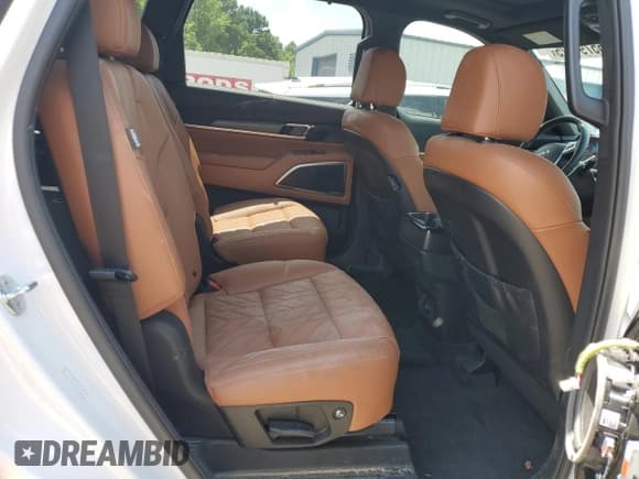 ✅ 2025 Kia Telluride SX X-Line • VIN: 5XYP5DGC4SG567736 • Lot: 65791825. Listed on Copart with 5,096 mi. Free auction sales archive from the USA and detailed vehicle history report at DreamBid. Image 11.