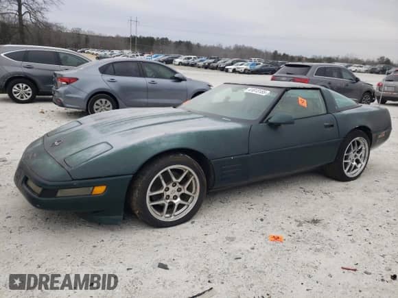1992 Chevrolet Corvette with VIN 1G1YY23P6N5107220, listed as a Copart auction lot 41813155 with Not provided miles and Clean title. Bid and sale history available at DreamBid. Image 1.