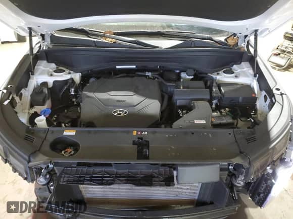 2024 Hyundai Palisade SEL с VIN KM8R2DGE5RU789080, выставлен на аукционе Copart как лот 76793834 с пробегом 12 308 миль миль и Списание • Salvage title. История ставок и продаж доступна на DreamBid. Изображение 12.