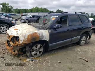 2005 Hyundai Santa Fe GLS with VIN KM8SC73E75U896762, listed as a Copart auction lot 64078175 with Not provided miles and Salvage title. Bid and sale history available at DreamBid. Image 1.