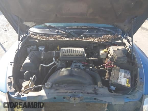 ✅ 2006 Dodge Dakota SLT • VIN: 1D7HE48K06S652752 • Лот: 43773002. Опубликован ранее на IAAI с пробегом 226 329 миль. Бесплатный доступ к архиву аукционных продаж из США и подробный отчёт об истории автомобиля на DreamBid. Изображение 10.