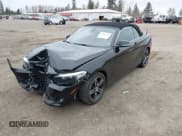 ✅ 2017 BMW 2 Series 230i • VIN: WBA2K9C31HV647631 • Lot: 41844731. Listed on IAAI with 80,065 mi. Free auction sales archive from the USA and detailed vehicle history report at DreamBid. Image 2.