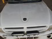 ✅ 1998 Dodge Dakota SLT • VIN: 1B7GL22X1WS652280 • Lot: 50545805. Wystawiony na Copart z przebiegiem Nie podano. Bezpłatny archiwum sprzedaży aukcyjnych z USA i szczegółowy raport historii pojazdu na DreamBid. Zdjęcie 11.