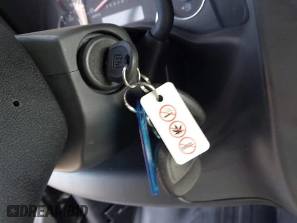 ✅ 2025 Chevrolet Express Passenger LS • VIN: 1GAZGNFP5S1105935 • Lot: 43649821. Listed on IAAI with Not provided. Free auction sales archive from the USA and detailed vehicle history report at DreamBid. Image 11.