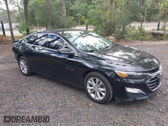 ✅ 2019 Chevrolet Malibu LT • VIN: 1G1ZD5ST5KF216399 • Lot: 43306437. Wystawiony na IAAI z przebiegiem 139 455 mil. Bezpłatny archiwum sprzedaży aukcyjnych z USA i szczegółowy raport historii pojazdu na DreamBid. Zdjęcie 1.