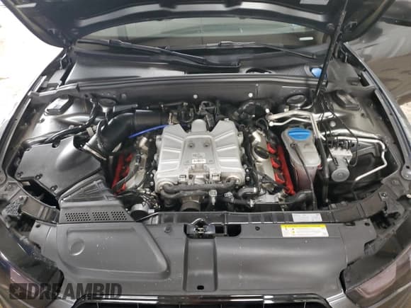 ✅ 2016 Audi S5 Premium Plus • VIN: WAUC4AFR4GA008830 • Lot: 64415595. Listed on Copart with 73,741 mi. Free auction sales archive from the USA and detailed vehicle history report at DreamBid. Image 11.