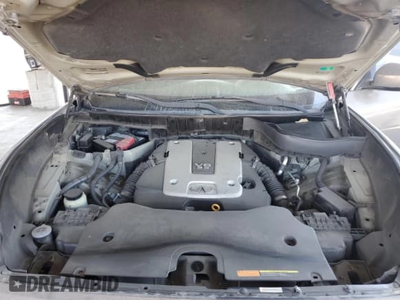 ✅ 2009 Infiniti FX • VIN: JNRAS18U09M100147 • Lot: 66719745. Listed on Copart with Not provided. Free auction sales archive from the USA and detailed vehicle history report at DreamBid. Image 11.